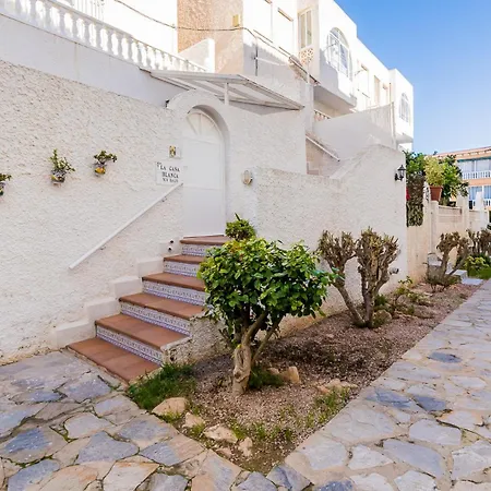 Alegria Id39 * Torrevieja